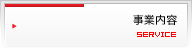事業内容