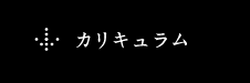 カリキュラム